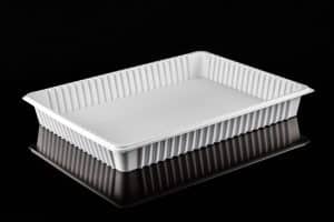 מגשים צרפתי